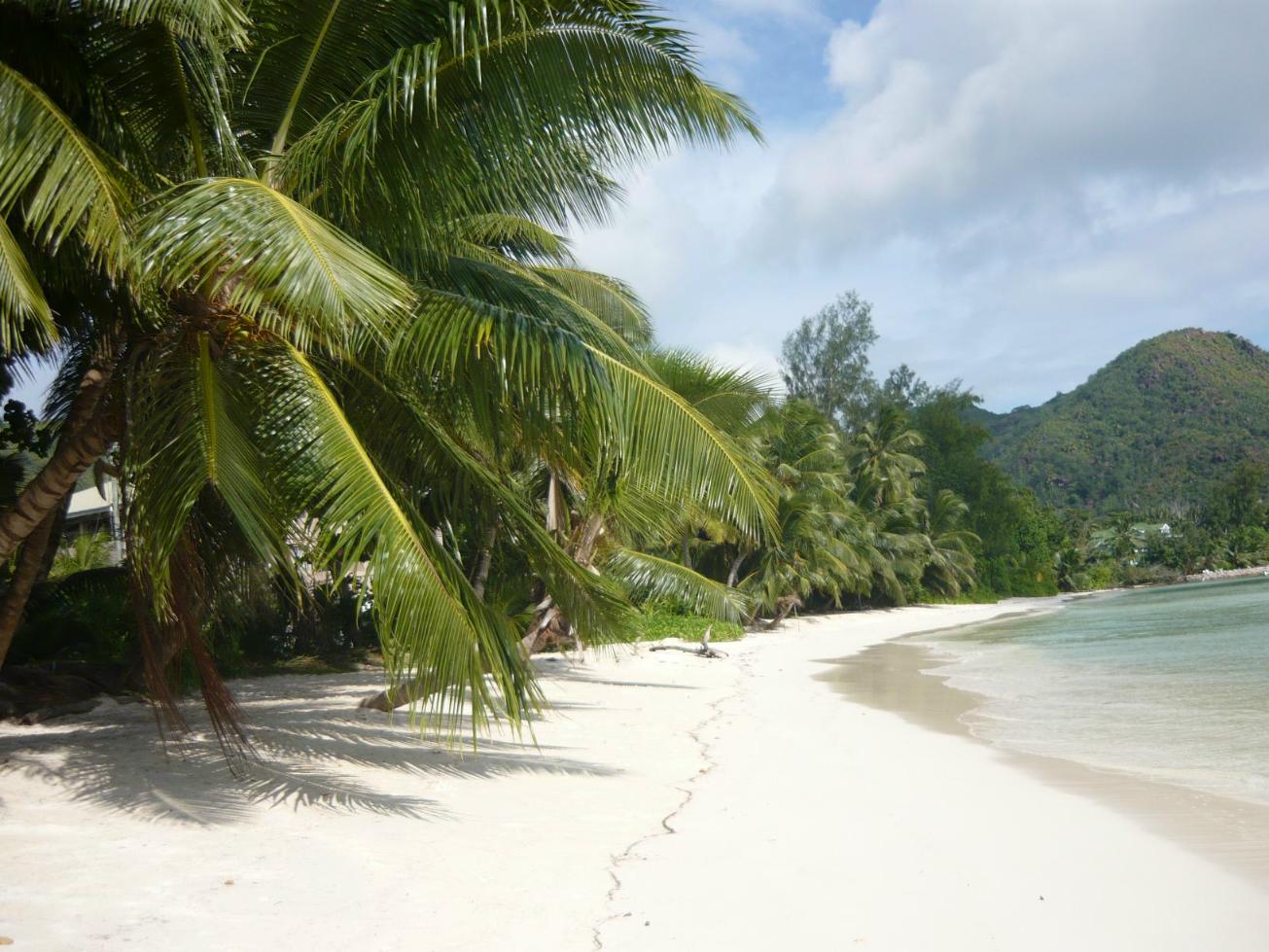 Index [www.ralphseifert.de]